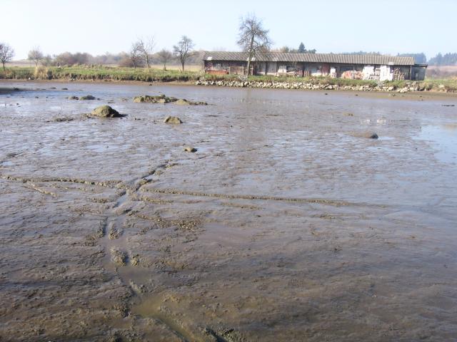 10-vylov-rybnika-29.10.2010 252